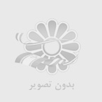 عاطفه محمودی